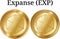 Set of physical golden coin Expanse EXP