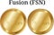 Set of physical golden coin Fusion FSN