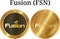 Set of physical golden coin Fusion FSN