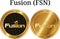 Set of physical golden coin Fusion FSN