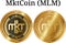 Set of physical golden coin MktCoin MLM