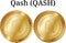 Set of physical golden coin Qash QASH, digital cryptocurrency. Qash QASH icon set.