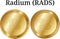 Set of physical golden coin Radium RADS