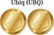 Set of physical golden coin Ubiq (UBQ)