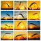 Set of pictures with golden crop in sunset