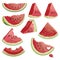 A set of pieces of watermelon. A collection of sliced watermelon. Juicy summer fruit. Illustration for children.