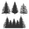 Set of pine trees and forest silhouettes. Vector illustration. For camping adventure and Christmas logo, badge, sticker