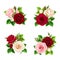 Set of pink, burgundy and white roses. Vector illustration.