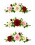 Set of pink, burgundy and white roses. Vector illustration.