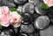 Set of pink rose flowers on pebble