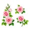 Set of pink roses isolated on white. Vector illustration.