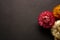 The set of pink, white and yellow strawflowers on black background