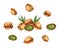Set of pistachio nuts watercolor