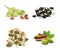 Set of pistachios, seeds, pumpkin seeds, raisins from grapes on a white background.