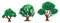 Set of pixel trees, pixel art on white background