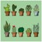 Set of plants in pots with green clear background