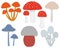 Set of poisonous inedible mushrooms toadstool fly agaric vector illustration in flat design