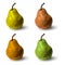 Set of polygonal multicolored pears, in vector