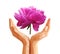 Set Polygonal peony flower on Cupped hands