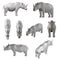 Set with polygonal rhino in different positions. 3D. Vector illustration