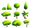 Set of polygonal trees and bushes