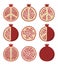 Set of pomegranate cuts, vector