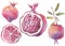 A set of pomegranate fruits of various shapes, whole fruits and cut into pieces.