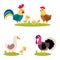 Set of popular colorful vector farm birds