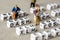 Set of popular crypto coins forming rows made of white cubes with black capital letters and miniature businessmen figurines having