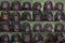 Set of portraits of funny and smiling Bonobo, close up