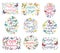 Set of positive inscriptions with butterflies isolate on a white background. Vector graphics