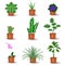 Set of potted flower icons on white background.