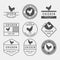 Set of premium chicken labels, badges and design elements. Vector Illustration. Chicken logo.