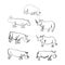 Set of primitive images of animals rhino and hippo. Cave drawings. Naive art. Illustration