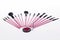 Set of professional pink make-up brushes