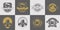 Set of pub, brewery, craft beer, brewhouse and beer labels, logos, badge and other design. Gray and gold vector