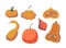 Set Of Pumpkin Different Shapes And Types. Orange Fruit With Thick Skin And Edible Flesh And Seeds, Cartoon Illustration