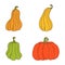 Set of pumpkin of various shapes and colors. Thanksgiving and halloween elements. Vector illustration in hand drawn