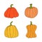 Set of pumpkin of various shapes and colors. Thanksgiving and halloween elements. Vector illustration in hand drawn