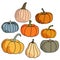 Set of pumpkins of various shapes and colors, vegetable harvest for the autumn holidays
