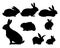 Set of Rabbits are grazing. Picture silhouette. Farm pets. Fur animals. Isolated on white background. Vector