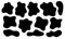 Set of random irregular asymmetric and unique shapes black spots. Popular coloring cow spots