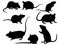 Set of Rat silhouette vector art