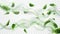 Set of realistic abstract air swirls with green leaves isolated on transparent background. Illustration of wind flow