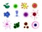 Set of realistic bacteria or various microscopic virus and germs or realistic micro organism bacterium isolated. eps 10 vector,