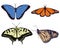 Set of realistic beautiful butterflies vector illustration.