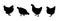 Set realistic black silhouettes standing, walking and pecking hens isolated on white background