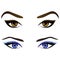 Set of realistic cartoon vector female eyes and eyebrows