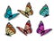 Set of realistic colorful butterflies.
