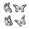 Set of Realistic Colorful Butterflies Isolated for Spring